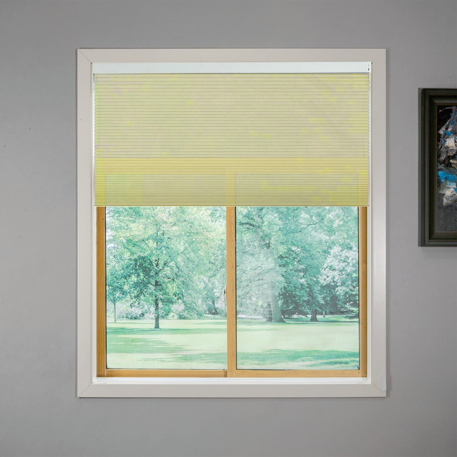Double Layer Intelligent Electric Curtain System Equipped With 15 Channel Remote Control And Solar Charging Panel Sunshade Curtains Blinds Honeycomb Curtains 2