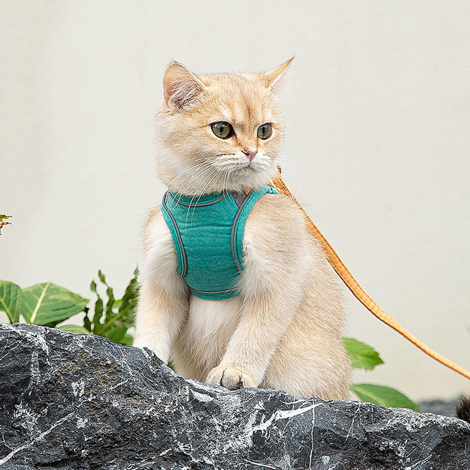 Cat Harness And Leash, Cat Harness Escape Proof, Soft Adjustable Cat Leash Breathable Comfortable Vest Easy To Wear, Easy Walk Leash For Small Medium Cats Kittens For Indoor Outdoor 2