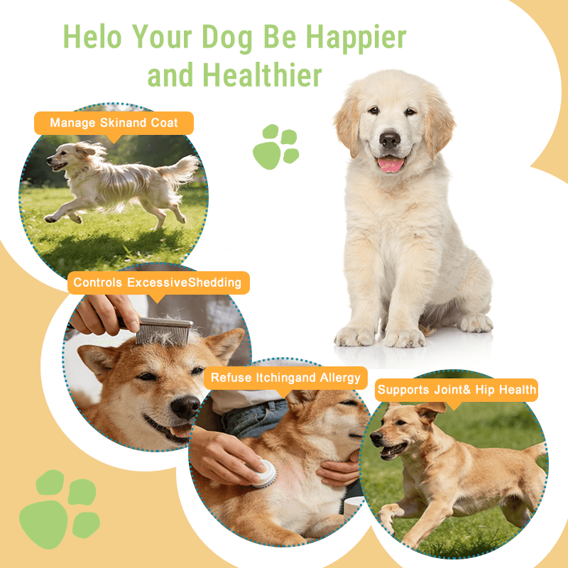 OMG 3-6-9 Dog Supplement 2