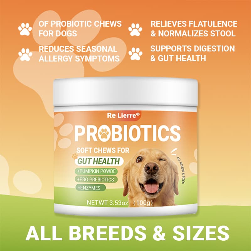 Intestinal Health Chewing Tablets 2